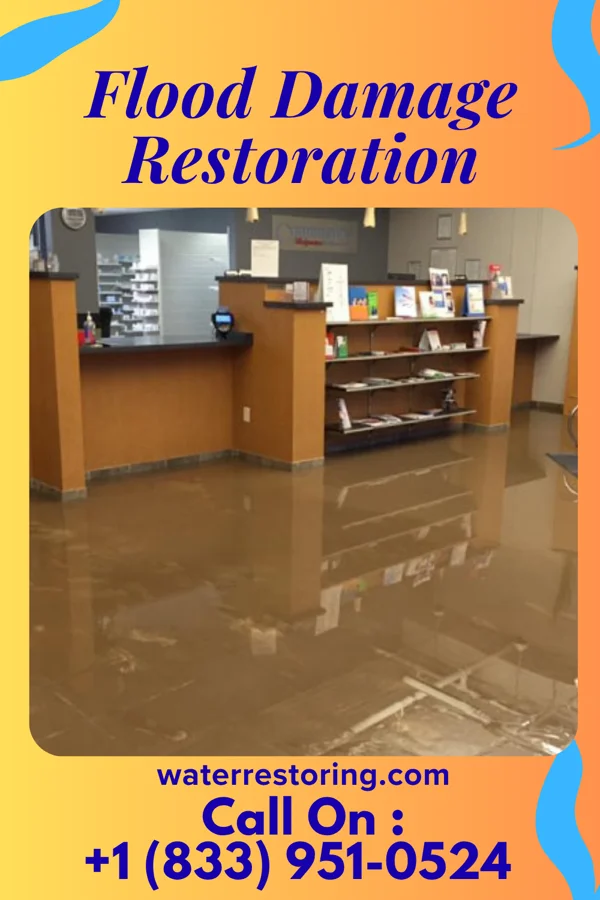 Flood Damage Restoration in Audubon, IA